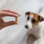 In What Form Do Liver Supplements Often Come?