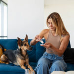 How Do We Care For Our Pet Dogs With CBD Oils?